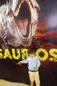 Photo 3 from Viven Dinosaurios - Mar de Plata