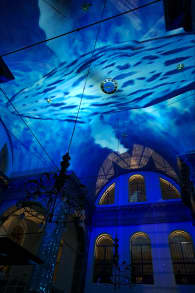 Photo 9 from Eonarium Genesis: De Spectaculaire Lichtshow