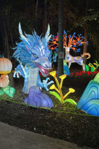 Photo 2 from Luminosa: Un mundo de encanto