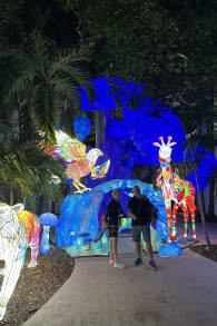 Photo 1 from Luminosa: Un mundo de encanto