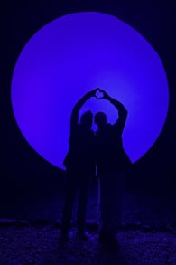 Photo 9 from Light Cycles: A glowing night walk through nature, light, and sound