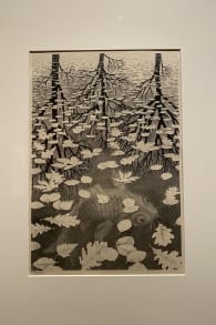 Photo 0 from M.C. ESCHER: En première nationale à Toulouse