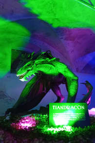 Photo 0 from Game of Dragons: Schloss Neugebäude