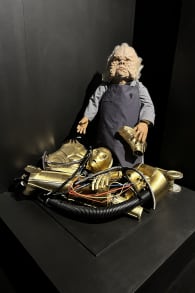 Photo 5 from The Fans Strike Back: A Fan Exhibition