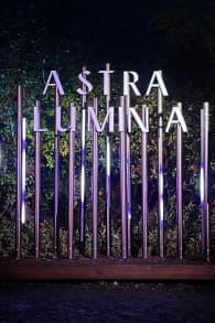 Photo 0 from Astra Lumina: Un paseo nocturno encantado entre las estrellas