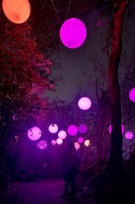 Photo 1 from Astra Lumina: Un paseo nocturno encantado entre las estrellas