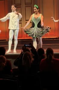 Photo 0 from Ballet of Lights: Sleeping Beauty in a Sparkling Show