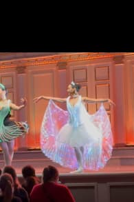 Photo 1 from Ballet of Lights: Sleeping Beauty in a Sparkling Show