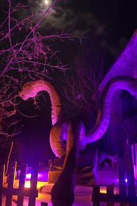 Photo 1 from Game of Dragons: Schloss Neugebäude