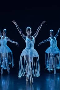 Photo 3 from Ballet of Lights : La Belle au bois dormant dans un spectacle étincelant