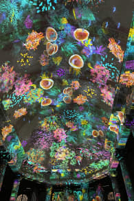 Photo 0 from EONARIUM presents: Genesis II, eine immersive Lichtshow in Bern