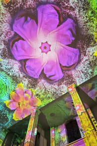 Photo 11 from EONARIUM presents: Enlightenment, eine immersive Lichtshow in München