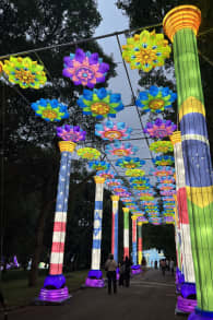 Photo 6 from Lektrik: Um Festival de Luzes - São Paulo