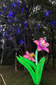 Photo 4 from Lektrik: Um Festival de Luzes - São Paulo