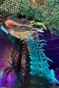 Photo 5 from Game of Dragons: Schloss Neugebäude