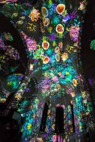 Photo 9 from EONARIUM presents: Genesis, eine immersive Lichtshow in Düsseldorf