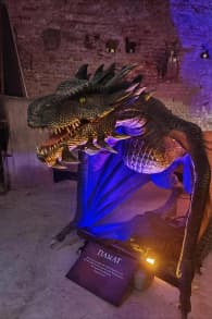 Photo 3 from Game of Dragons: Schloss Neugebäude