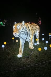 Photo 7 from Lektrik: Um Festival de Luzes - São Paulo
