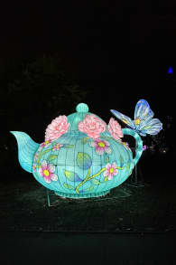 Photo 1 from LEKTRIK ART: A Festival of Lights