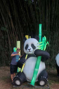 Photo 0 from Lektrik: Um Festival de Luzes - São Paulo