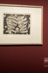 Photo 6 from M.C. ESCHER: En première nationale à Toulouse