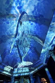 Photo 3 from EONARIUM presents: Genesis II, eine immersive Lichtshow in Bern