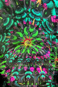 Photo 4 from EONARIUM presents: Genesis II, eine immersive Lichtshow in Bern