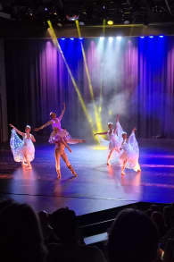 Photo 1 from Ballet of Lights: Sleeping Beauty in a Sparkling Show