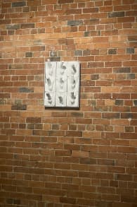 Photo 4 from VIP Valentine’s Day Weekend 2026: A Celebration of Love, Lust and Play.