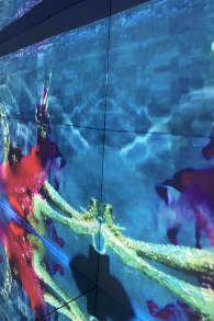 Photo 1 from Museum Of Desire