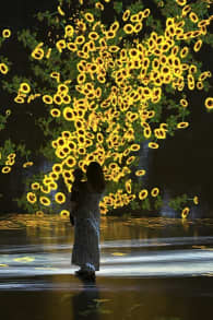 Photo 9 from Superblue Miami: Experiencias de Arte Inmersivo