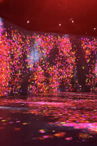 Photo 8 from Superblue Miami: Experiencias de Arte Inmersivo