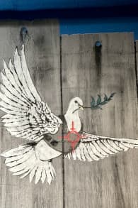 Photo 4 from Musée Banksy Madrid
