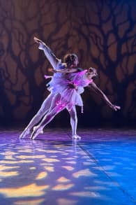 Photo 1 from Ballet of lights: La Bella Addormentata in un affascinante spettacolo di luci