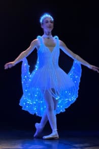 Photo 2 from Ballet of lights: La Bella Addormentata in un affascinante spettacolo di luci