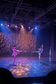 Photo 3 from Ballet of lights: La Bella Addormentata in un affascinante spettacolo di luci