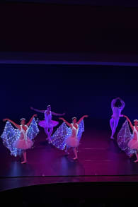 Photo 0 from We call it Ballet: Dornröschen in einer glanzvollen Lichtshow