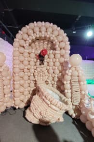 Photo 2 from Balloon World Adventure