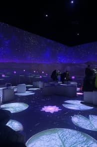 Photo 11 from Tutanchamun - das immersive Ausstellungserlebnis - Berlin