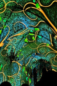 Photo 5 from EONARIUM presents: Genesis, eine immersive Lichtshow in Hannover