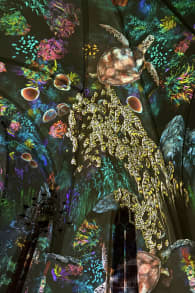 Photo 4 from EONARIUM presents: Genesis, eine immersive Lichtshow in Hannover