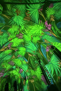 Photo 3 from EONARIUM presents: Genesis, eine immersive Lichtshow in Hannover