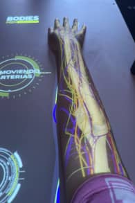 Photo 5 from Bodies Evolution: Cuerpos Humanos Reales La Serena - Coquimbo