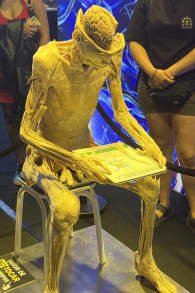 Photo 1 from Bodies Evolution: Cuerpos Humanos Reales La Serena - Coquimbo