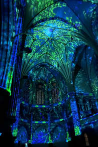 Photo 8 from EONARIUM presents: Enlightenment, eine immersive Lichtshow in Hamburg