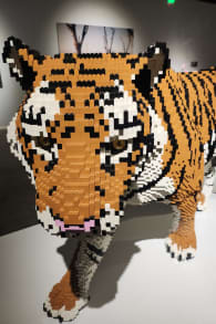 Photo 2 from The Art of the Brick: An Exhibition of LEGO® Art