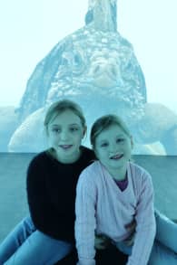Photo 3 from Planet der Tiere - Die immersive Ausstellung