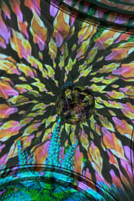 Photo 5 from EONARIUM presents: Enlightenment, eine immersive Lichtshow in Berlin