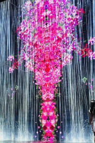 Photo 6 from Superblue Miami: Experiencias de Arte Inmersivo