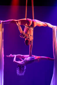 Photo 5 from AirOtic Soirée: un cirque cabaret burlesque